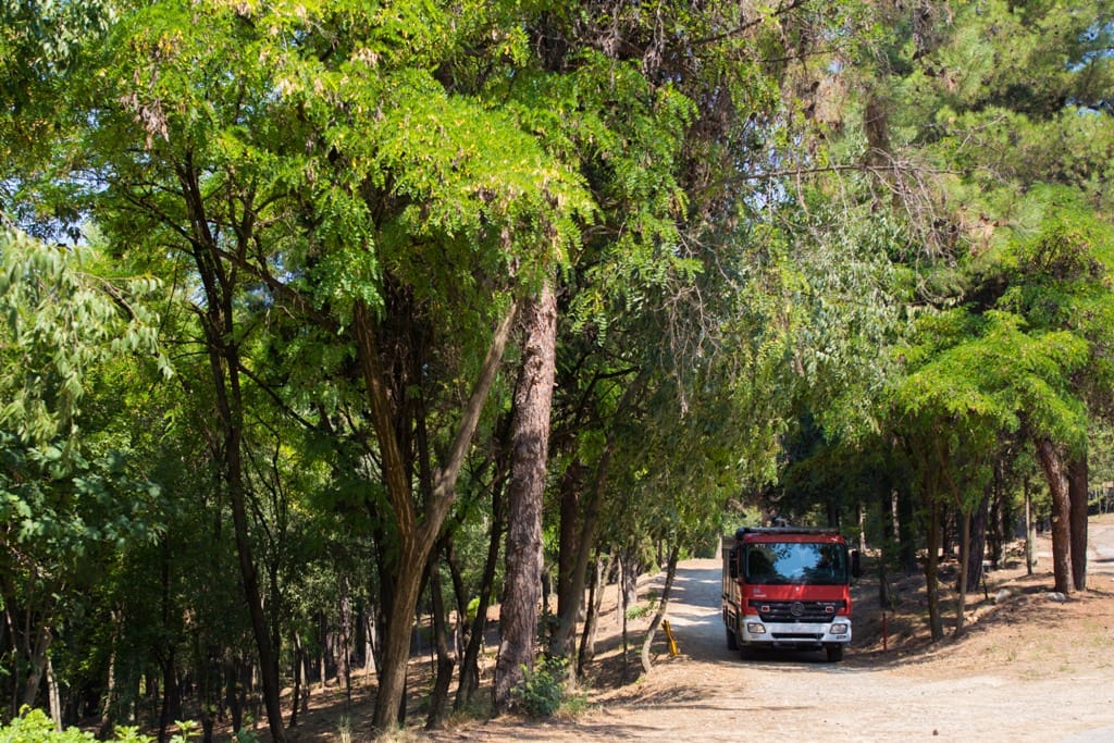 Έτσι θα λειτουργεί η ψηφιακή πλατφόρμα καταγραφής έργων Πυροπροστασίας των Δήμων (ΦΕΚ)