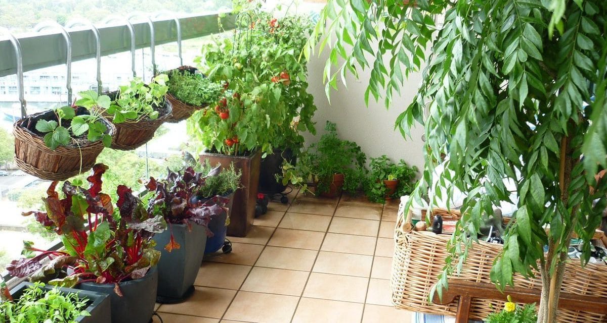 Αθήνα: Λήγουν οι αιτήσεις για τα πράσινα μπαλκόνια