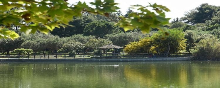Πάρκα Αττικής: Εδώ θα πας και θα ξεφύγεις μέσα στην πόλη