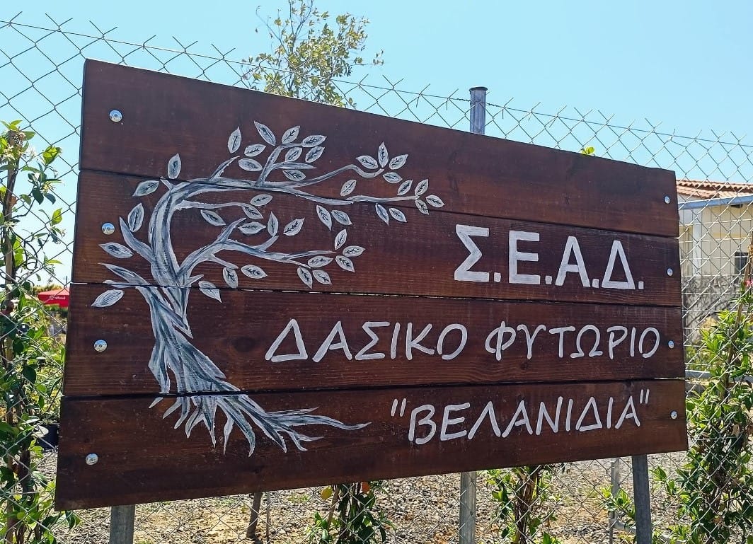 Εθελοντικό δασικό φυτώριο βραδύκαυστων φυτών στο Δήμο Ωρωπού