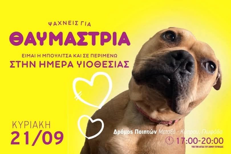 Ραντεβού στη Γλυφάδα με τον τετράποδο έρωτα της ζωής σας!