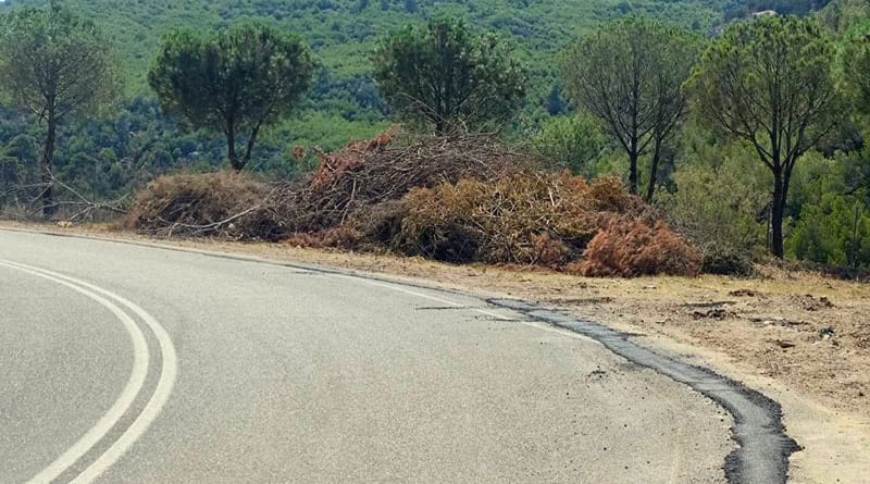 Ολοκληρώθηκαν τα έργα πυροπροστασίας οικισμών σε Μαραθώνα, Γραμματικό & Νέα Μάκρη