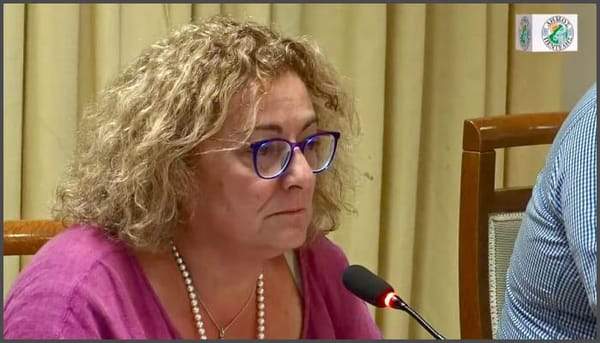Νατάσσα Κοσμοπούλου: "Η Πεντέλη θα ξαναγεννηθεί πιο δυνατή"