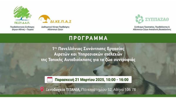 Οι Δήμοι έστειλαν "ηχηρό" μήνυμα για τα αδέσποτα ζώα