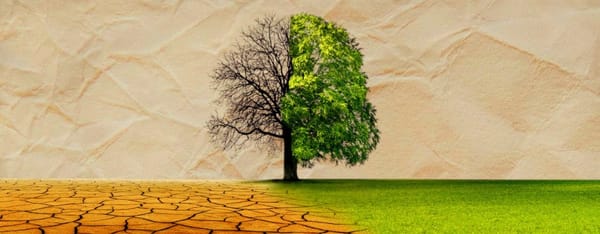 Πρόσκληση εγκαινίων Περιβαλλοντικής Έκθεσης στην Ελευσίνα