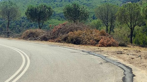 Ολοκληρώθηκαν τα έργα πυροπροστασίας οικισμών σε Μαραθώνα, Γραμματικό & Νέα Μάκρη