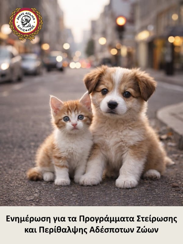 Σε εφαρμογή τα προγράμματα στείρωσης και περίθαλψης αδέσποτων ζώων του Δήμου Αιγάλεω