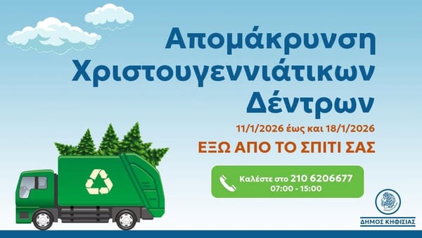 Κηφισιά: Αποκομιδή των φυσικών χριστουγεννιάτικων δέντρων.