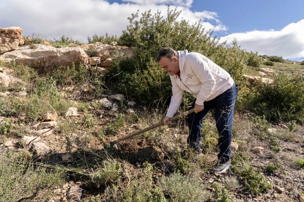 Πάνω από 1.000 δέντρα φυτεύτηκαν στο Πανόραμα Παλλήνης