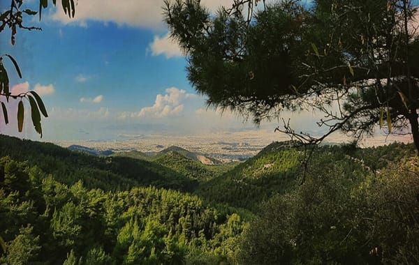 ΣΠΑΥ: Κατεπείγουσα κινητοποίηση για το δασικό οδικό δίκτυο του Υμηττού