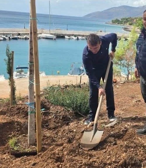 Α.Δρίκος : "Ξεκινήσαμε τις πρώτες δεντροφυτεύσεις στον οικισμό του Πόρτο Γερμενού"